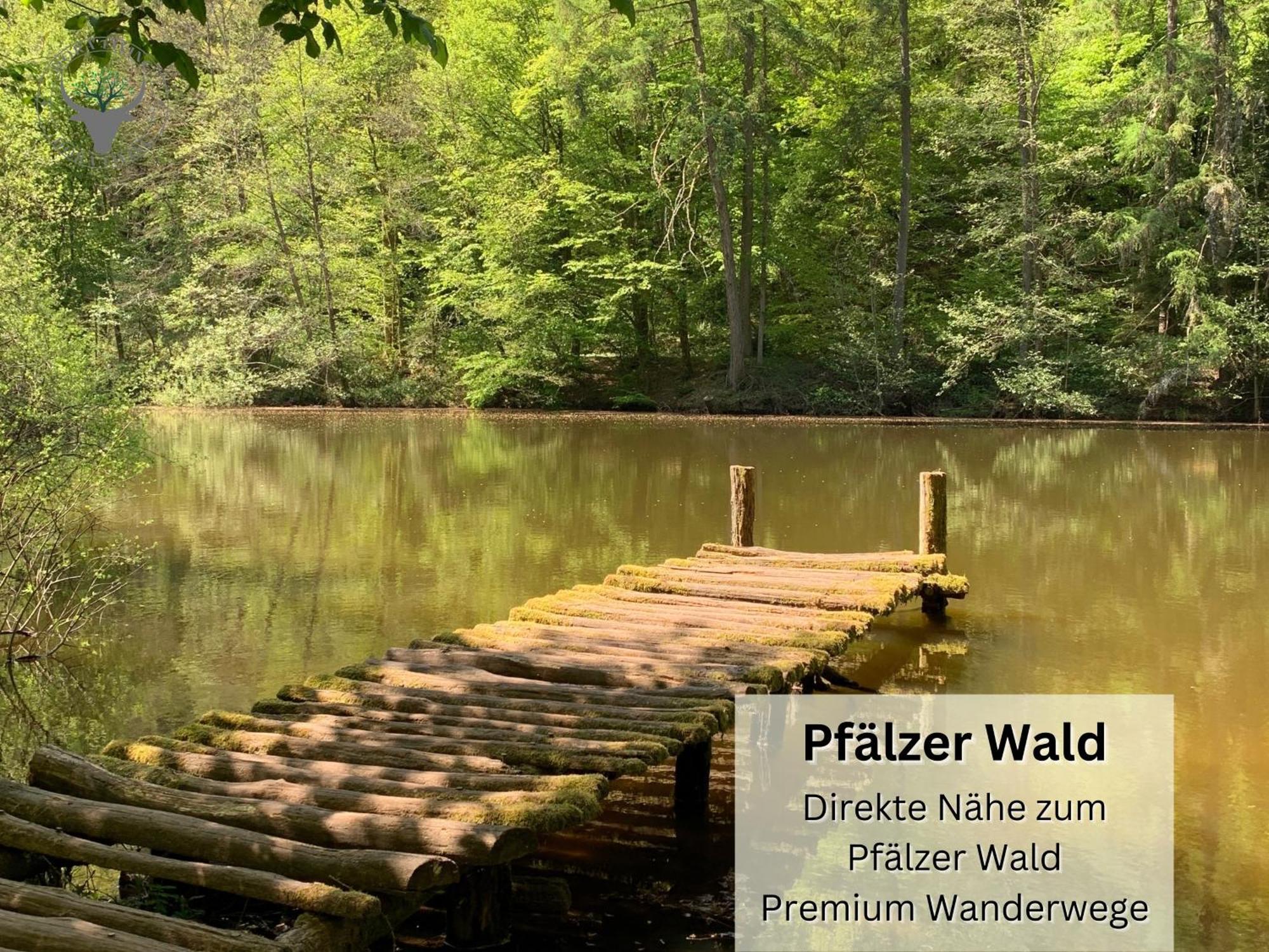 Schuhpartment Am Pfaelzer Wald Naehe Outlet Center Zweibruecken Leilighet Pirmasens Eksteriør bilde